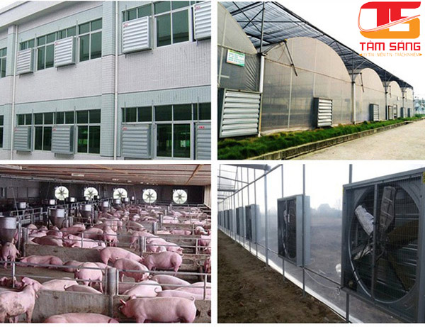 Ứng dụng quạt hút công nghiệp gắn tường