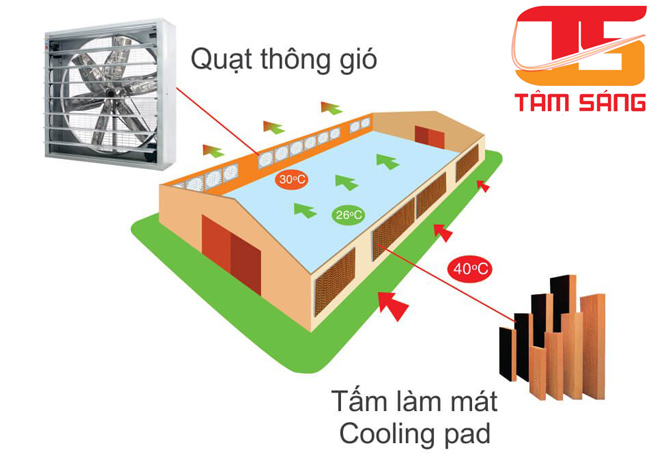 Hệ Thống thông gió nhà xưởng bằng tấm làm mát Cooling Pad.
